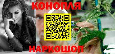 сатива Тверь